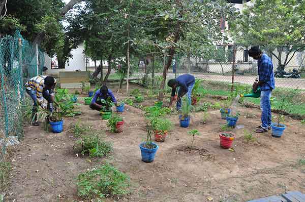 Herbal Garden Images